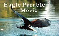 Eagle Parable Movie